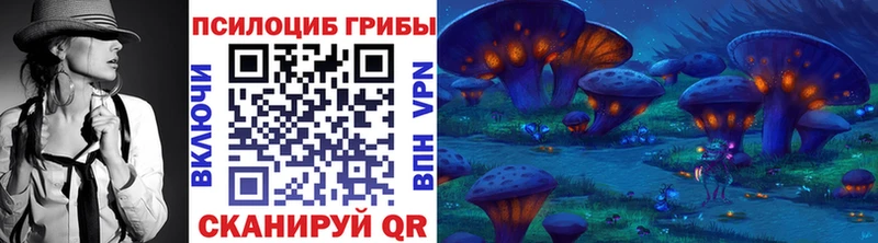 Галлюциногенные грибы Cubensis  Купить где  Багратионовск 